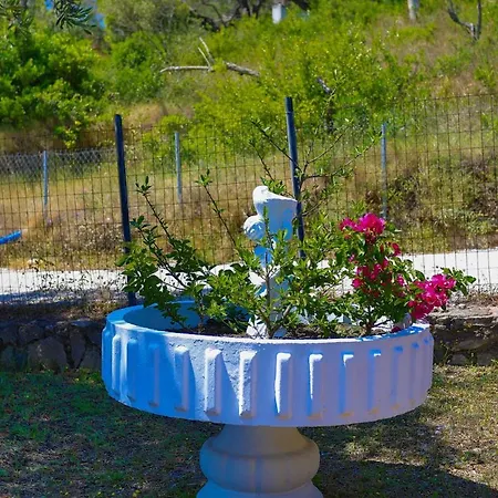 Antigoni Longos (Paxos)